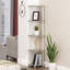 Corner Bookcase-40796096