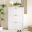 Armoire de rangement à chaussures Lasherrie avec 3 tiroirs rabattables-1632871620