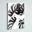 Monstera noir et blanc - impression-351279381