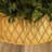 Kurt Adler 24-Inch Gold Tree Collar