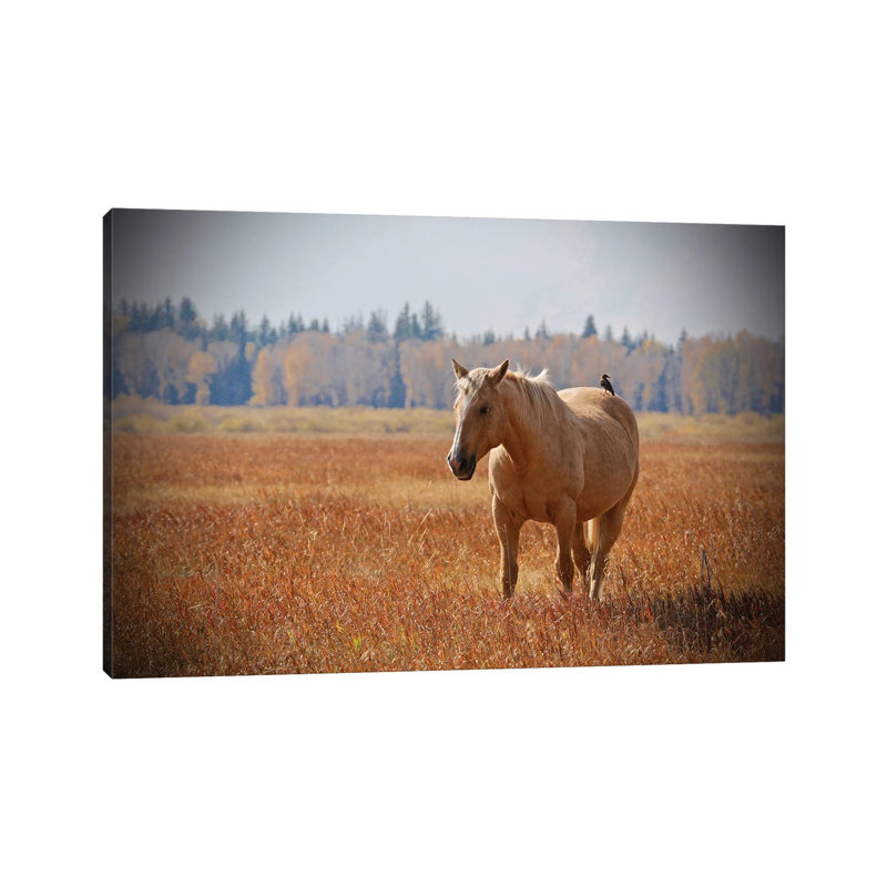 Hitching A Ride II by Susan Vizvary - Wrapped Canvas Print, 101.6 cm H x 66.04 cm W x 1.91 cm D