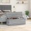Aricin Accent Trunk-1231069814