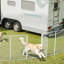 Parc pour chien pliable en métal robuste avec 1 porte (ensemble de 6)-111004118-111004119