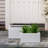 Luecille Planter-1045661764