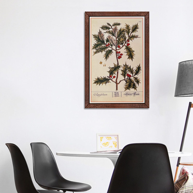 Elizabeth Blackwell - Print on Canvas, 66.04 cm H x 45.72 cm W, Brown Floater Framed