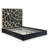 Upholstered Metal Platform Bed-993979599-993979597