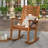 Raiah Acacia Outdoor Chair-1674839554