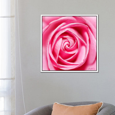 Petal by Petal 1 Piece Wall Art on Canvas