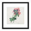 Langlois After Pierre Joseph Redoute Poppy - Single Picture Frame Painting