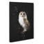 Barn Owl Vol.6 - Wrapped Canvas Print-61886314