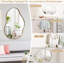 Chappotin Makeup / Shaving Mirror