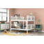 Lit superposé avec échelle pour meubles de chambre à coucher, chambre d'amis-762127834