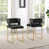 Black Seat/ Gold Frame