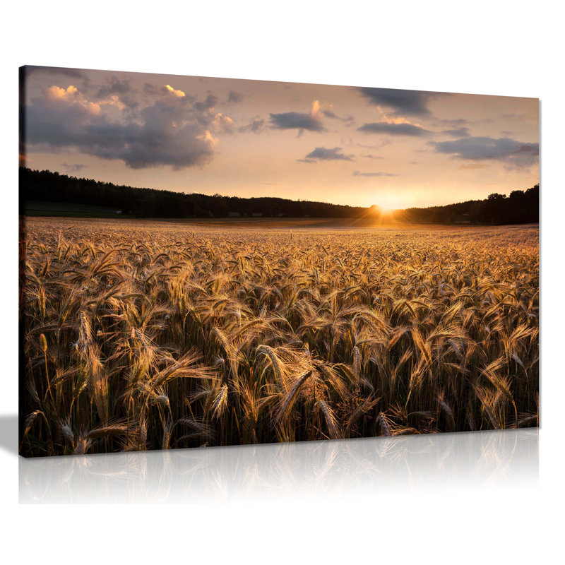 Sunset On Wheat Field - Wrapped Canvas Print, 20cm H x 31cm W