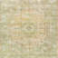 Evelien Oriental Indoor Rug-783572828