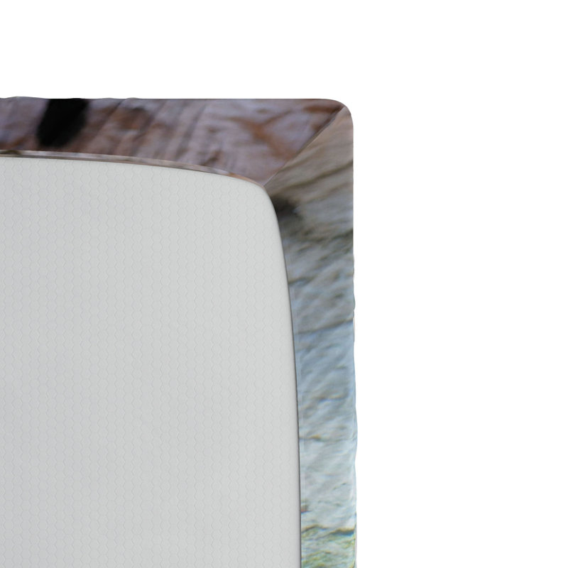 Safari Microfiber Fitted Sheet, Queen Fitted Sheet