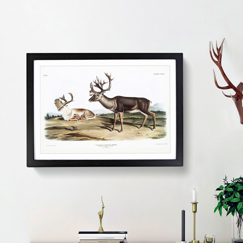 Caribou by J.W. Audubon - Picture Frame Graphic Art Print, 27cm H x 36cm W x 2cm D, Black Framed