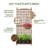 Amandari Wood Planter Box with Trellis-340511484