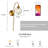 Elisabette Gold Iron Wallchiere with Smoky Glass