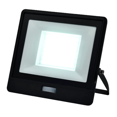 Aubriee Flood Light