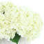 Hydrangeas in Pleated Ceramic Vase
