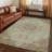 Machine Washable Indoor/Outdoor Chantille ACN2543 Global Rug-1252221040-1252221041