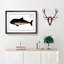 Porpoise by M.E. Bloch - Picture Frame Painting Print-55602161-55602160