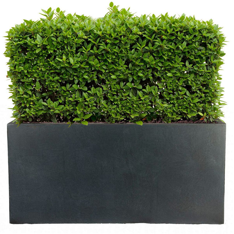 Frostproof, Concrete Effect Garden Planter Pot with Drainage Holes, Dark Grey, 37.5cm H x 80cm W x 37cm D
