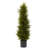 42 " H Faux Cedar Tree in Plastic Pot