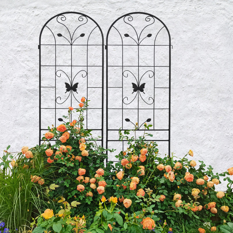Ensemble de 2 treillis de jardin en métal antirouille pour plantes grimpantes, Noir