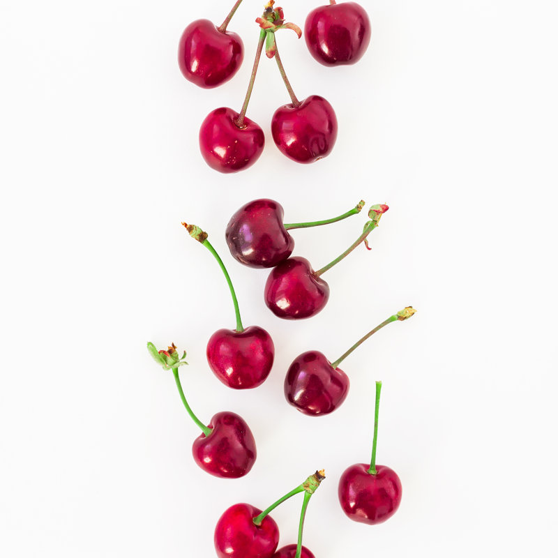 Red Berries by Nuture - Wrapped Canvas Print, 30cm H x 30cm W x 3.8cm D