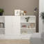 Basic Low Wide Storage Cabinet (2 Shelves) with 2 Doors-127661282