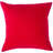 Throw Pillow-1482462984