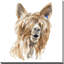 «Shaggy Llama», reproduction de peinture à l'aquarelle-31474629-31938740