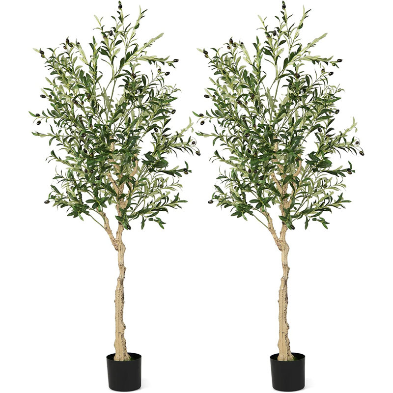 6 FT Tall Faux Olive Trees with Silk Leaves in Black Plastic Pots
