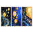 Gold Floater Framed