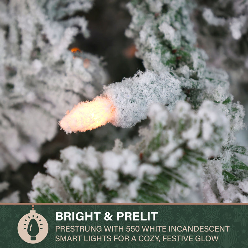 Fraser Hill Farm 10-Ft. Flocked Mountain Pine Christmas Tree With Smart String Lighting, FFMP010-3SN, 7.5' H