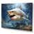 Wrapped Canvas