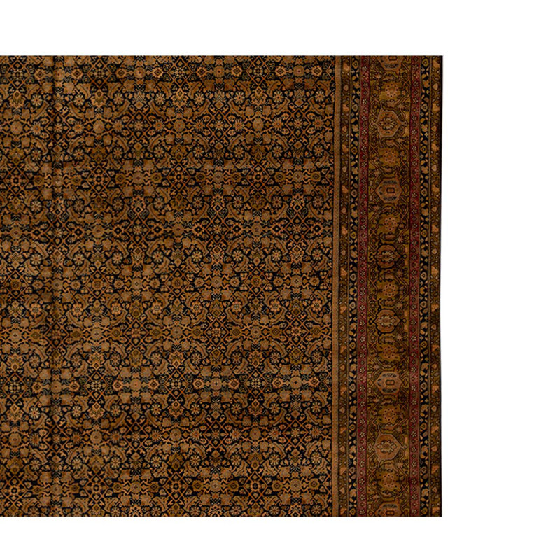 Wool Oriental Area Rug