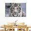 Tigre blanc en voie de disparition-656514385