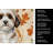 Parti-color Havanese Heirloom Fall Kitchen Towel-1218231489