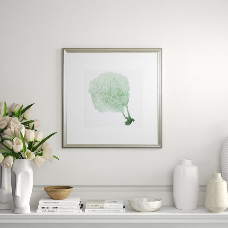 Sea Fan II Print by Vision