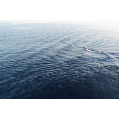 Sea Surface by Plainview