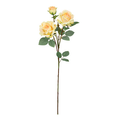 Fleur de sucre en aérosol