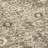Myshawn Dua Distressed Border Brown Gray Beige Machine Washable Area Rug-1771649803