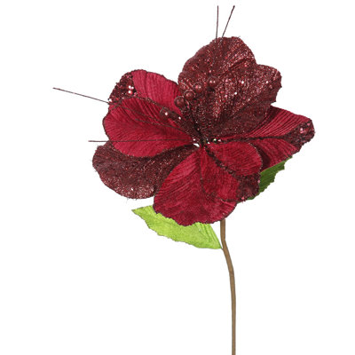 Fleurs Amaryllis