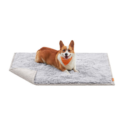 Couvertures pour chien