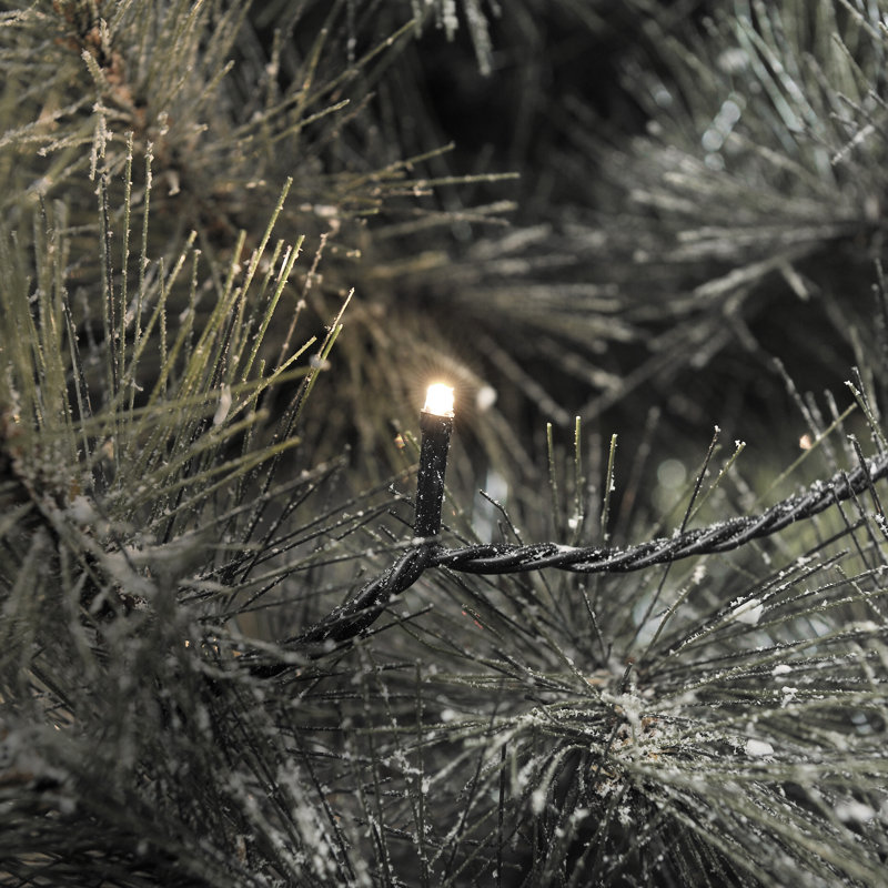 4693cm LED 600 - Bulb Fairy String Light, Warm White