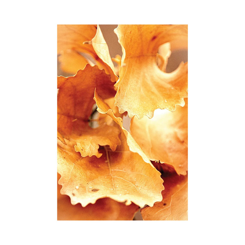 Bright Oak Leaves 1 Piece Wrapped Canvas Wall Art