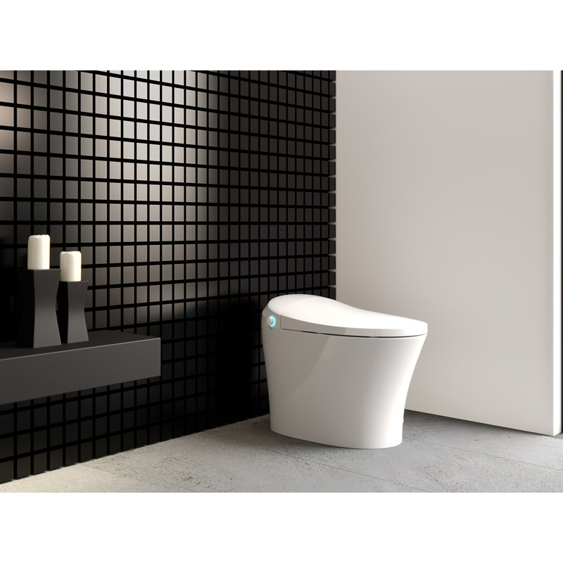 Dual-Flush Elongated Bidet Toilet (Seat Included)